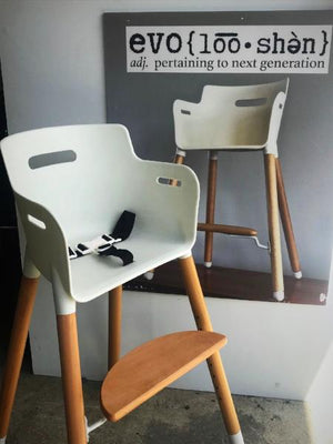 3 point harness for the Evo highchair